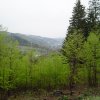 Revir Jasenice 002